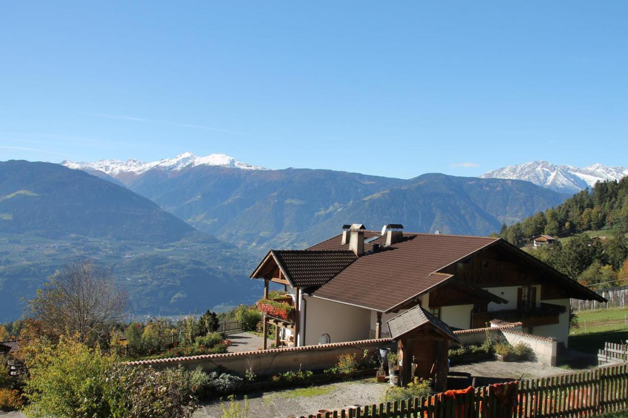 Eichernhof Apartment Marillenbluete Verano Екстер'єр фото